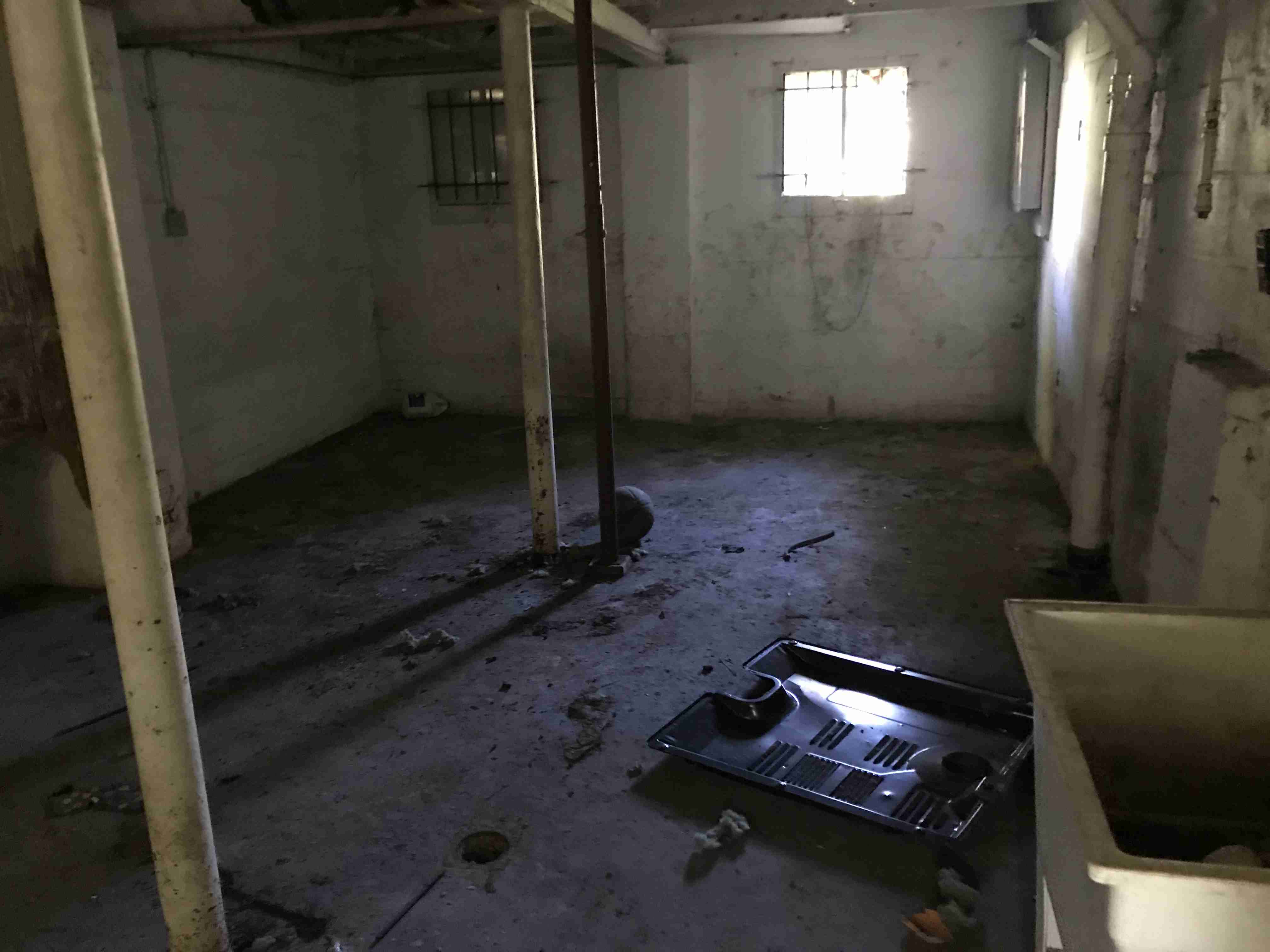 Photo Oct 13, 11 43 24 AM.jpg